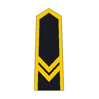 powyższy