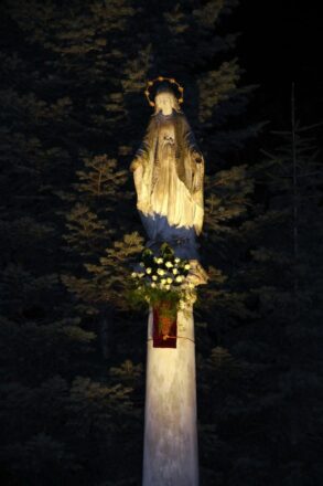 Zaproszenie na Procesję Światła, 8 grudnia 2025 r.